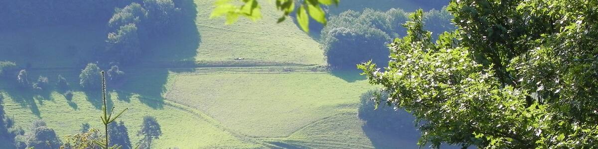 L'église Saint Louis