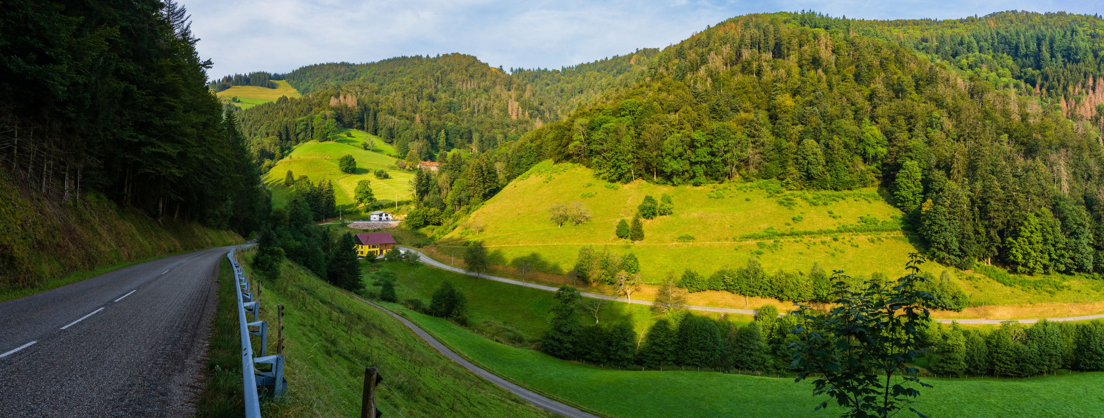 Un camino sinuoso atraviesa un paisaje montañoso con campos verdes y bosques densos.