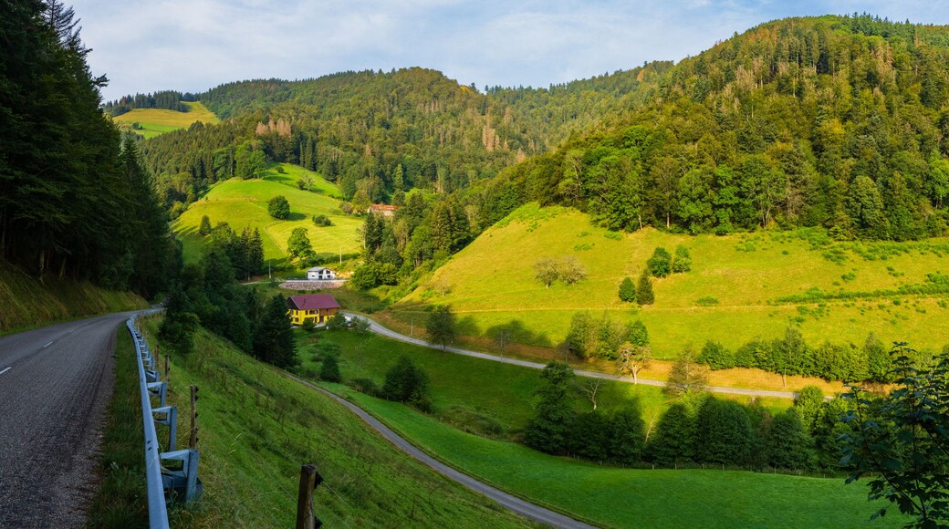 Un camino sinuoso atraviesa un paisaje montañoso con campos verdes y bosques densos.