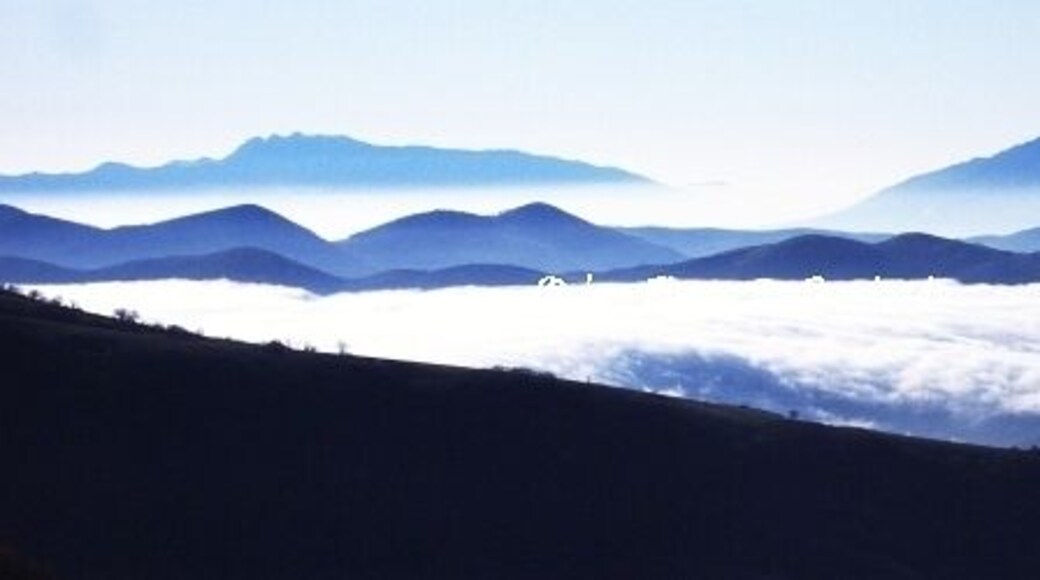 Solopaca, in provincia di Benevento