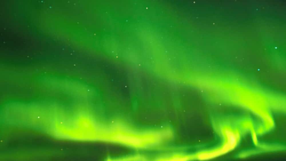 I didn't know you could see the Northern Lights so early in the year (August)!