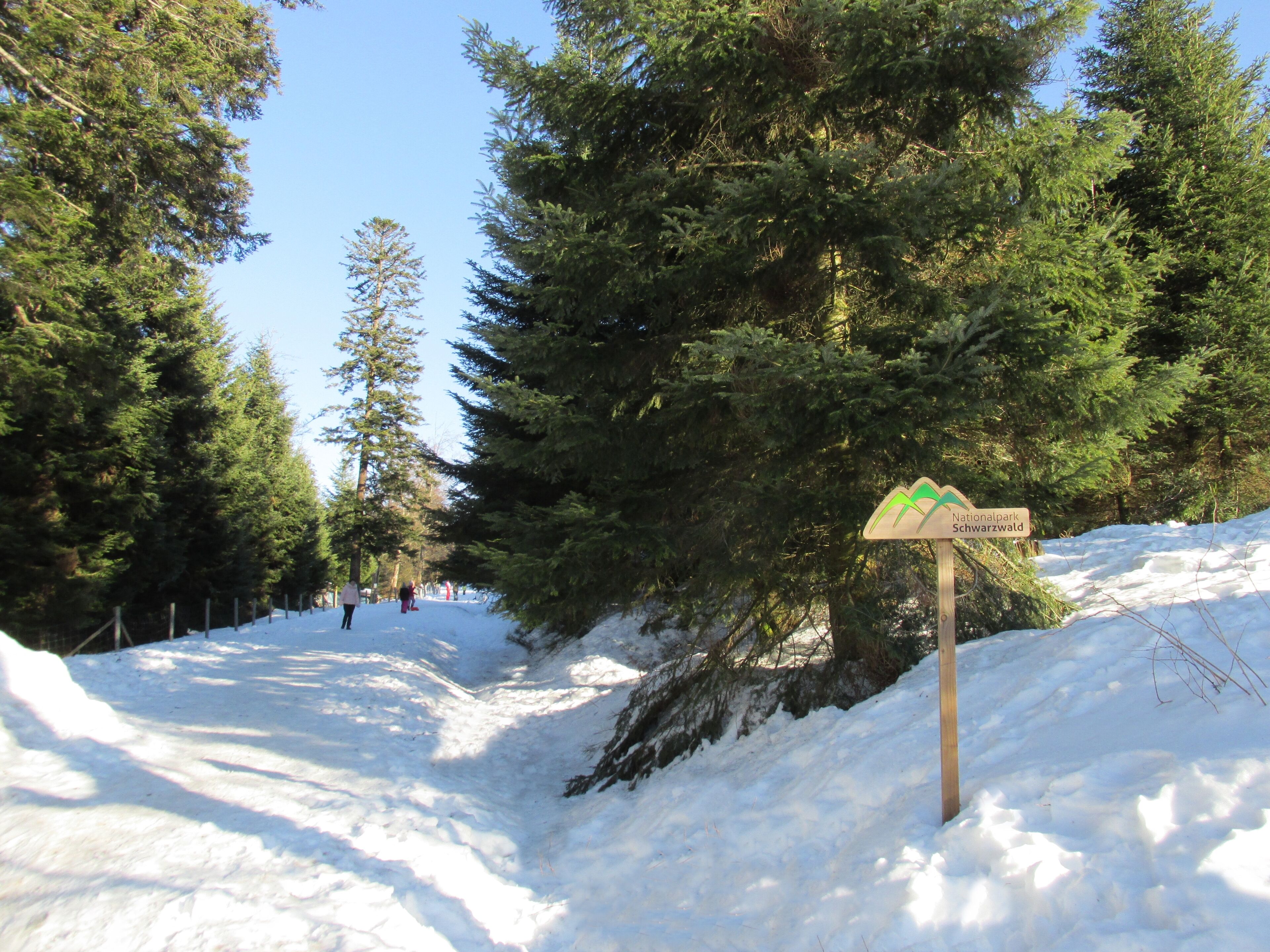 Winterwanderung im Nationalpark