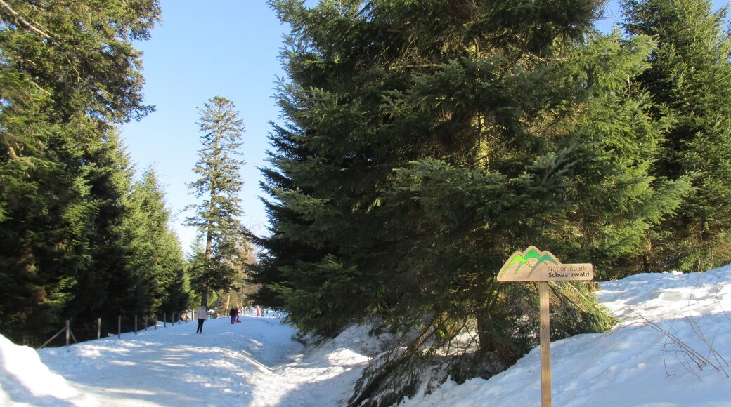 Winterwanderung im Nationalpark