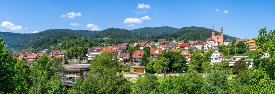 A town with red-roofed houses, a church with two towers, and a forested mountain in the background.