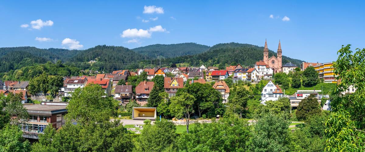 A town with red-roofed houses, a church with two towers, and a forested mountain in the background.