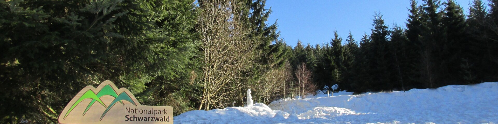 Nationalpark Schwarzwald