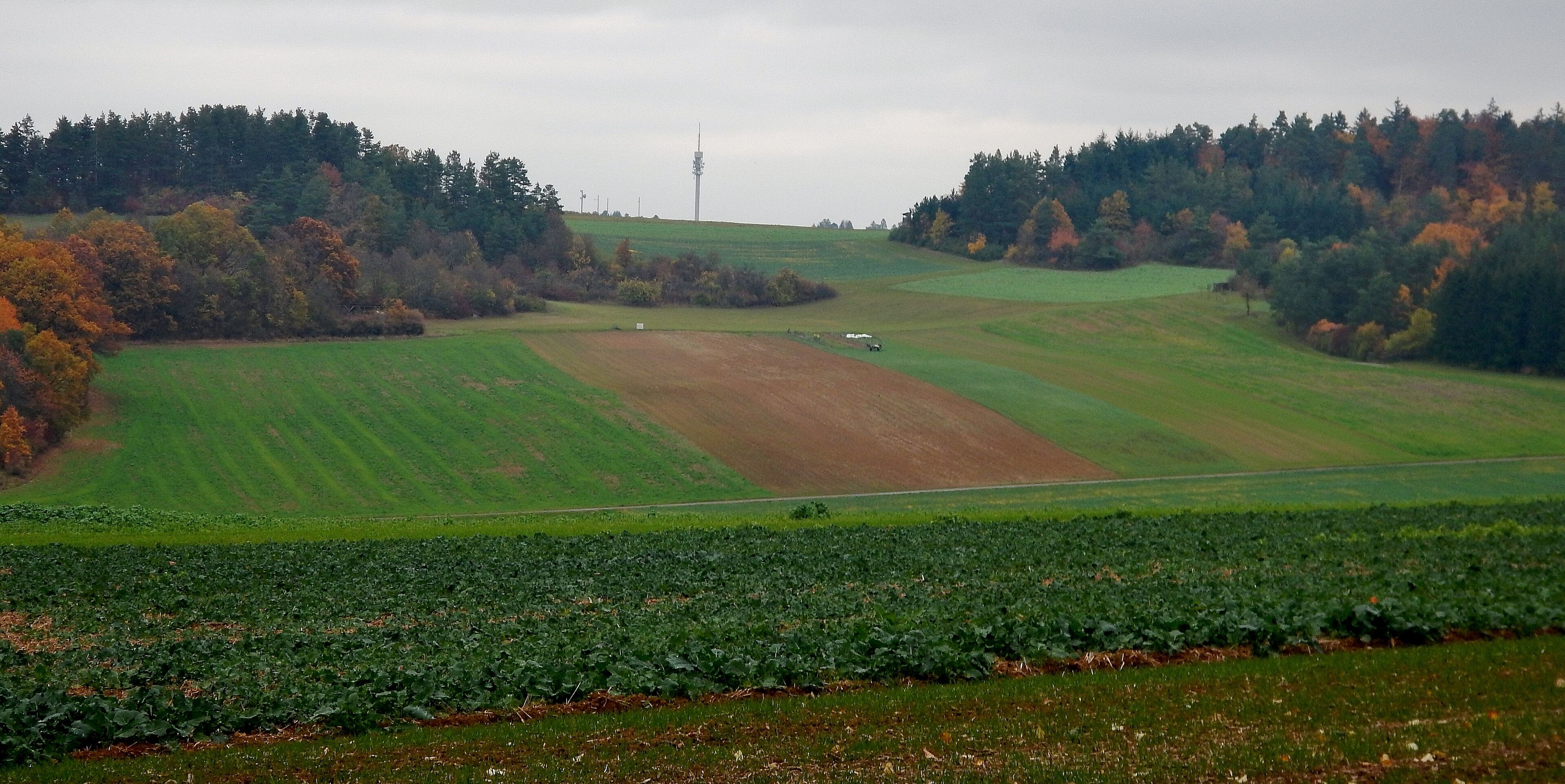 Blick bis zu der von der Polizei, Feuerwehr und Rotem Kreuz genutzten Funkstelle Lerchenberg bei Gültlingen