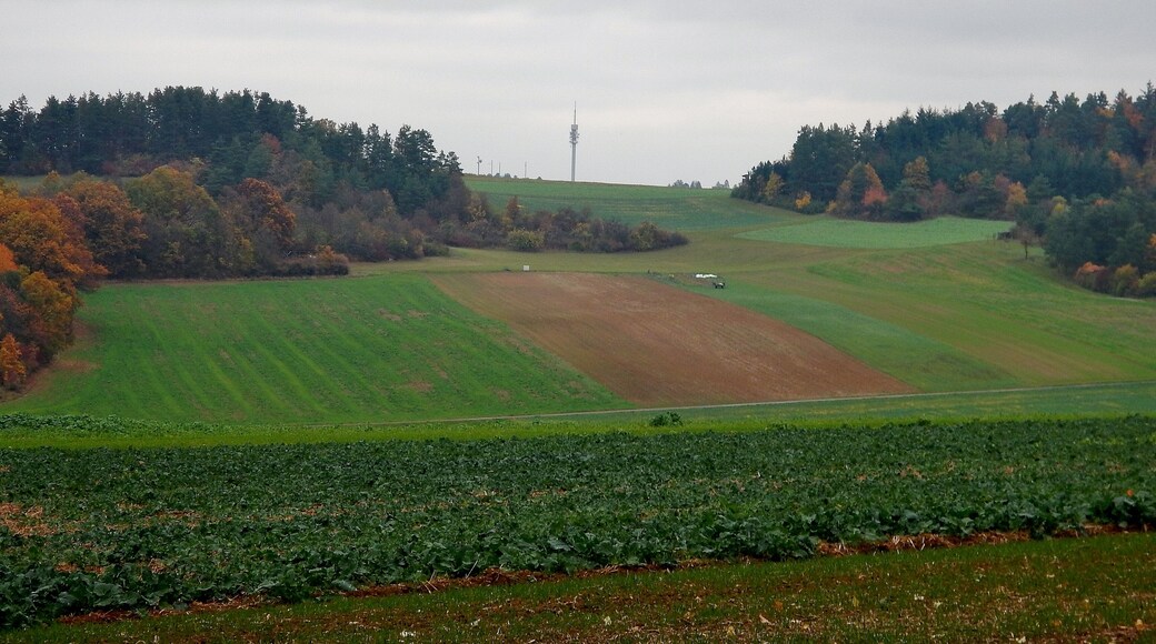 Blick bis zu der von der Polizei, Feuerwehr und Rotem Kreuz genutzten Funkstelle Lerchenberg bei Gültlingen