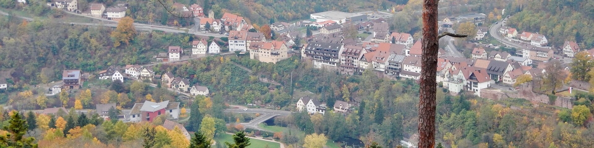 Wildberg
