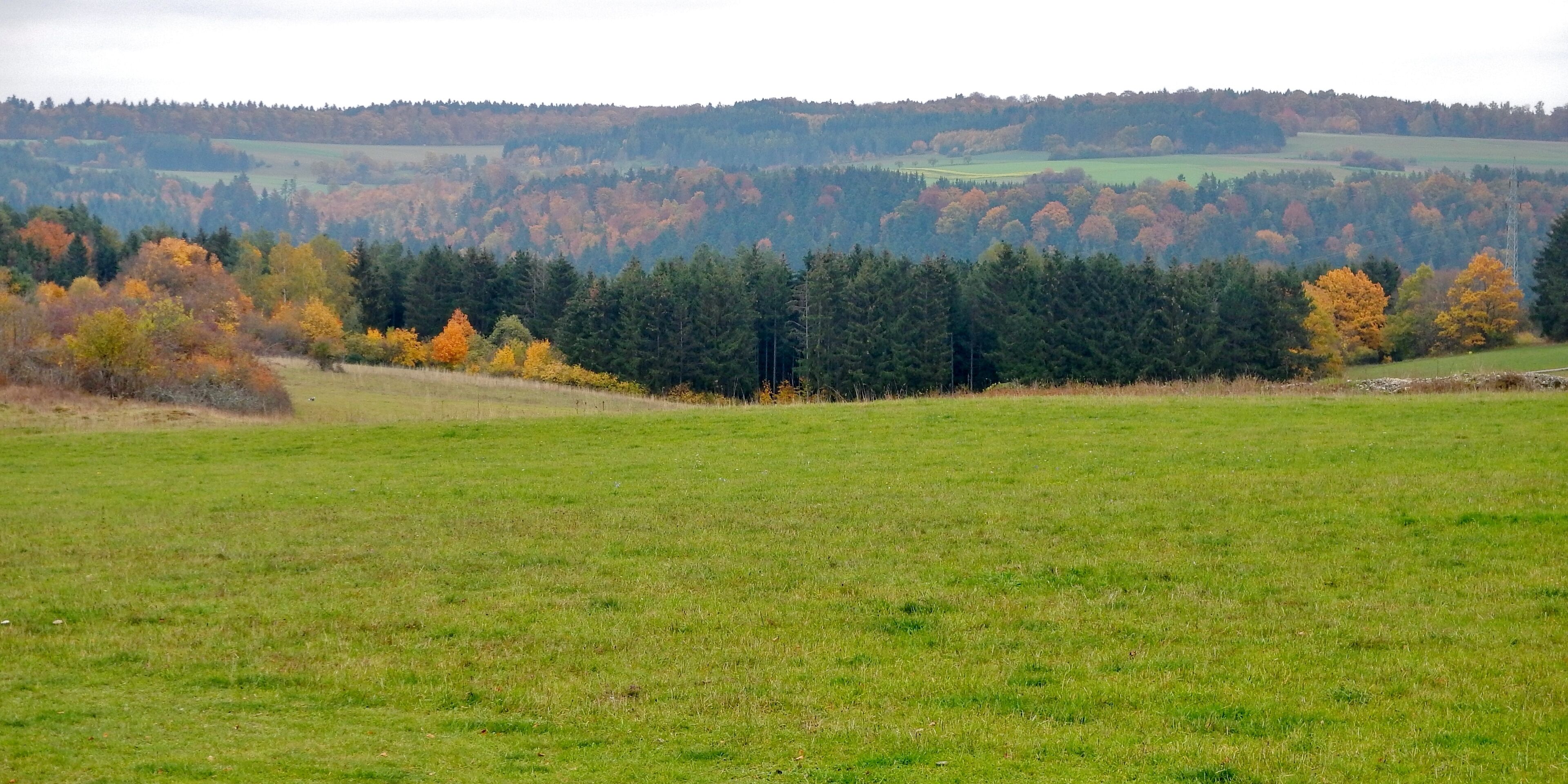 Wiese oberhalb von Wildberg