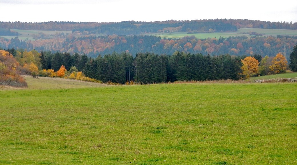 Wiese oberhalb von Wildberg