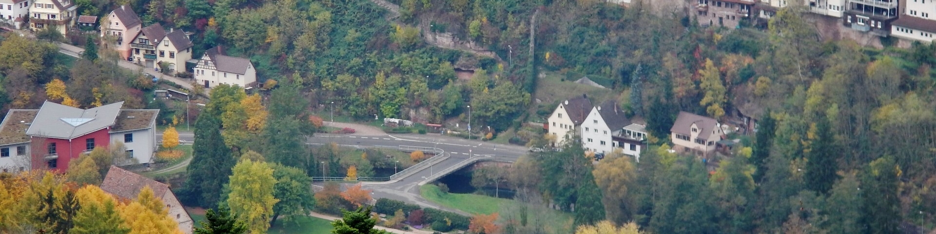 Wildberg mit Blick auf Hotel Bären