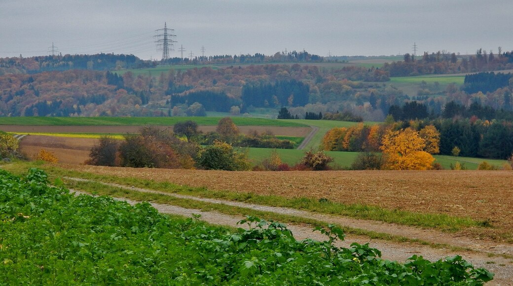 Hochebene bei Wildberg Gültlingen mit Blick über das Nagoldtal