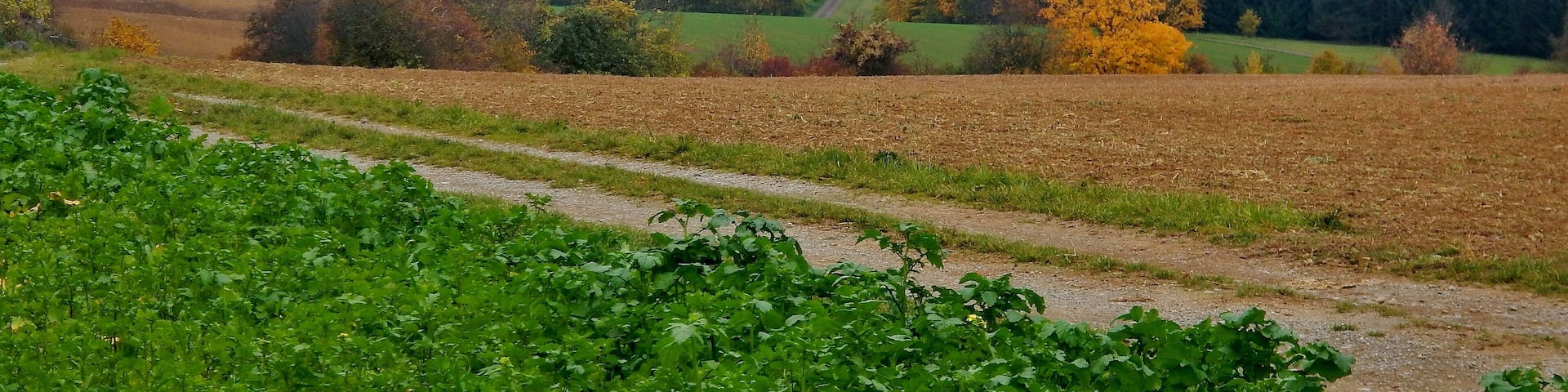 Hochebene bei Wildberg GĂŒltlingen mit Blick ĂŒber das Nagoldtal