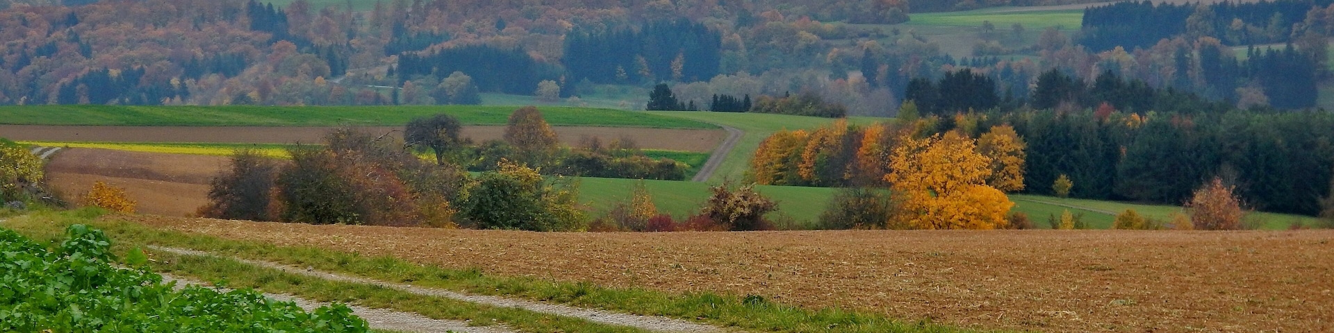Hochebene bei Wildberg Gültlingen mit Blick über das Nagoldtal