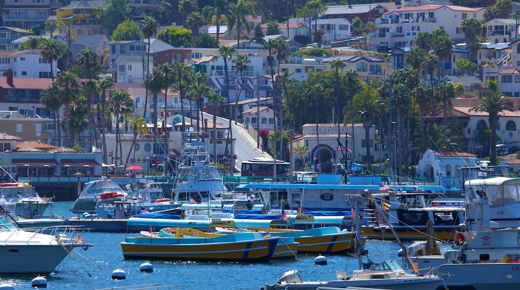 Catalina Island showing boating, a coastal town and a marina