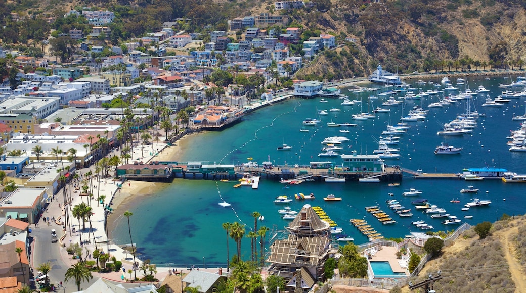 Catalina Island featuring boating, a coastal town and a marina