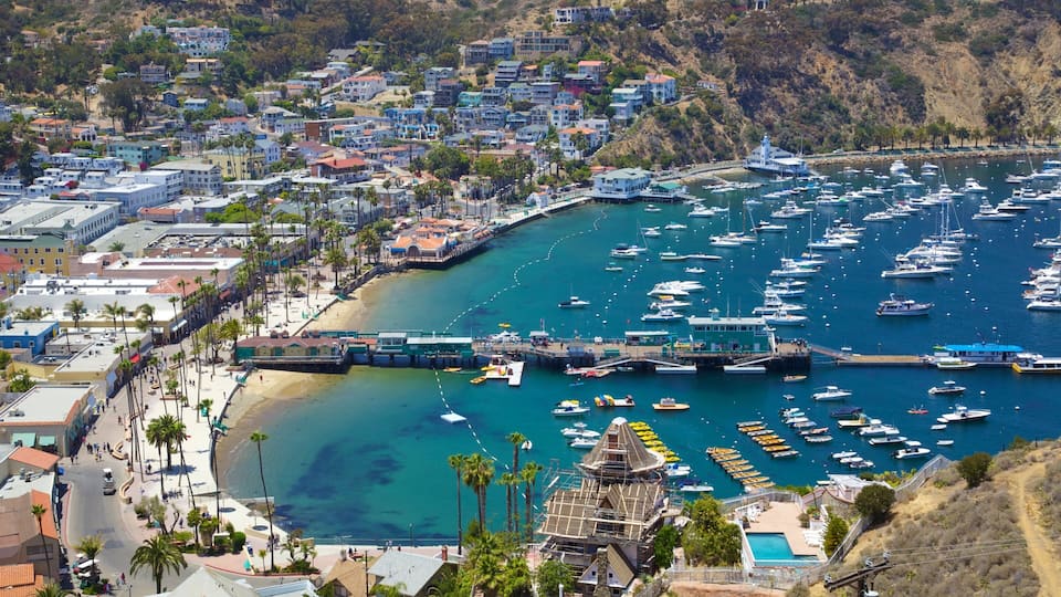 A coastal town with a marina filled with boats, a beach, and residential buildings.