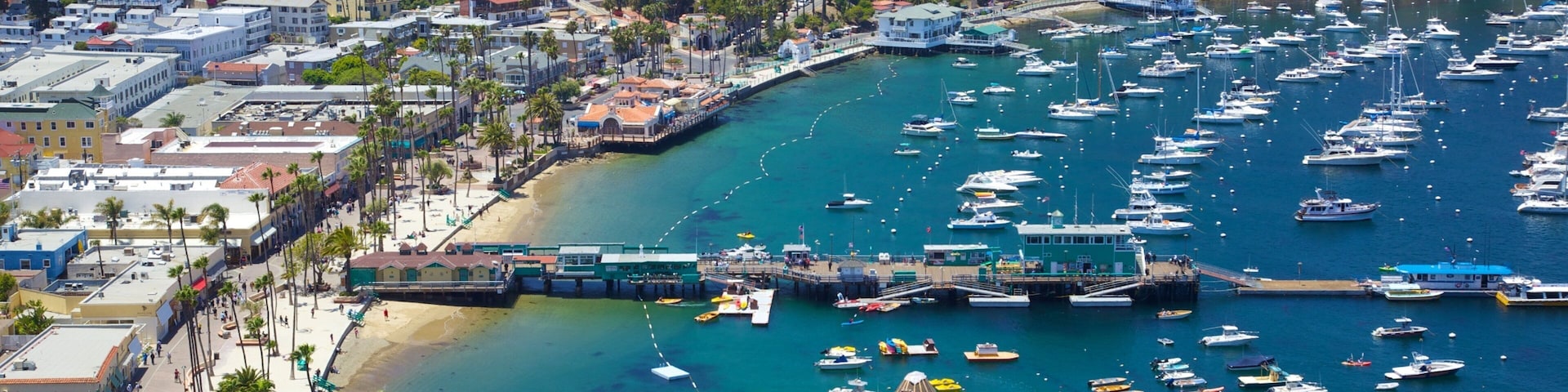 Catalina Island caracterizando vela, uma marina e uma cidade litorânea
