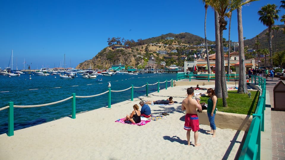 A sunny beach with people sunbathing, a marina with boats, and a hillside in the background.