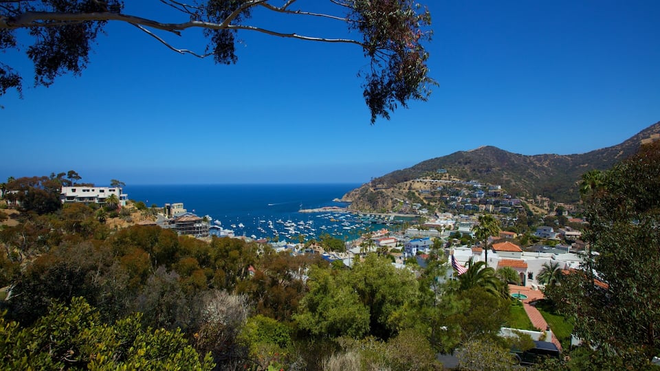 A coastal town with a marina, houses, and hills in the background.