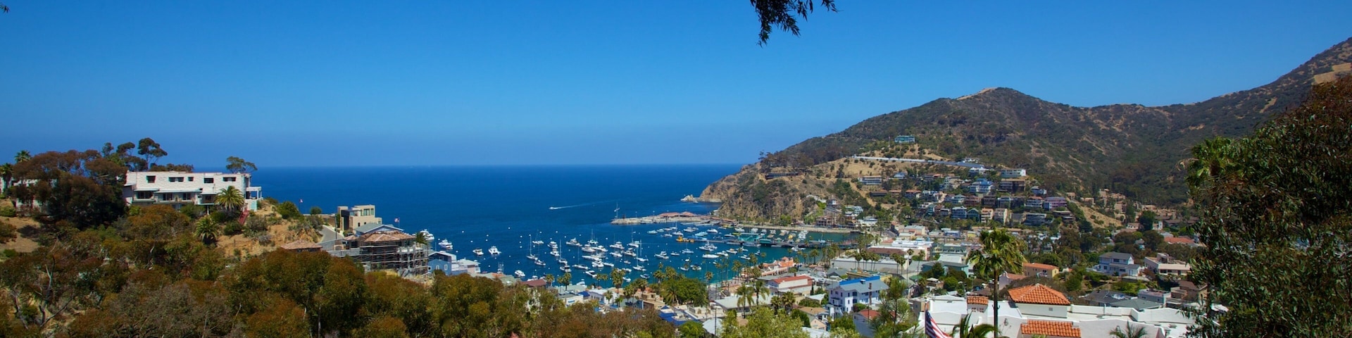 Isla Catalina ofreciendo una ciudad costera y una bahía o un puerto