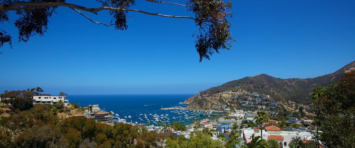 Catalina Island which includes a bay or harbour and a coastal town