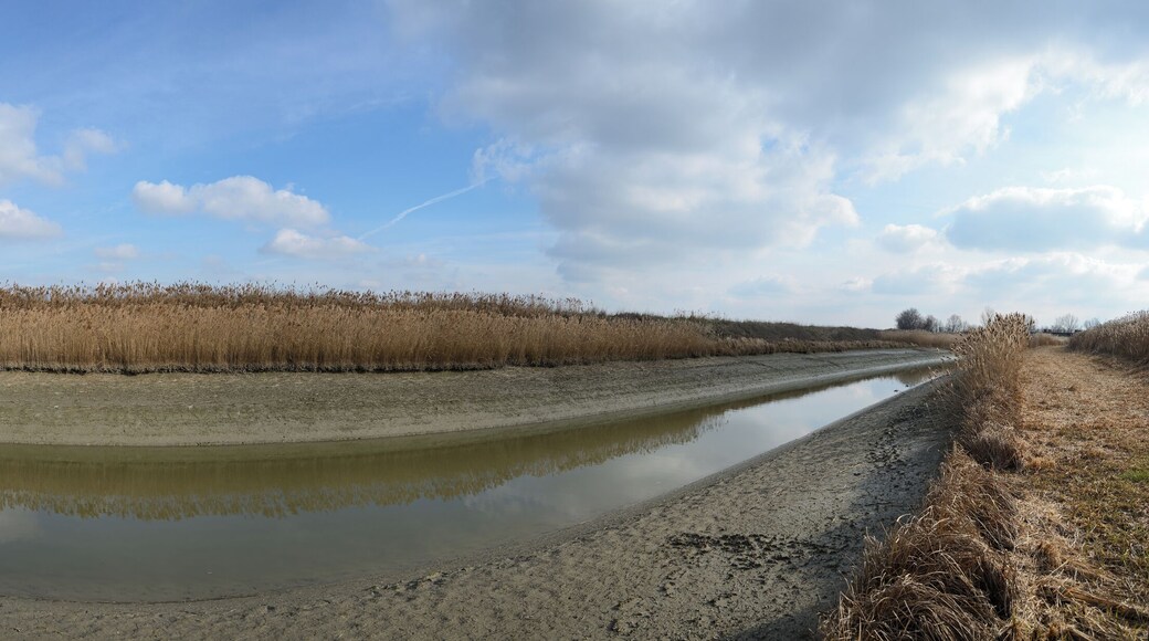 Collettore Acque Alte - Crevalcore (BO) Italia - 7 Febbraio 2013