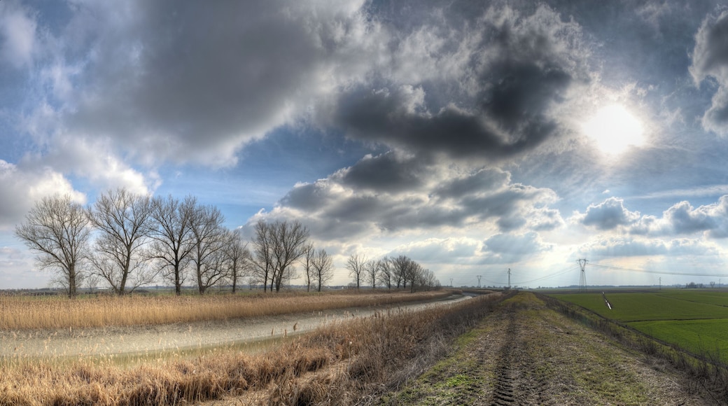 Lungo il Collettore Acque Alte - Crevalcore (BO) Italia - 7 Febbraio 2013