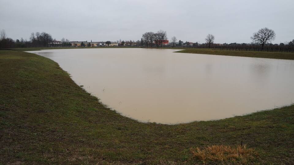 A large, open water body surrounded by grassy areas and buildings in the background.