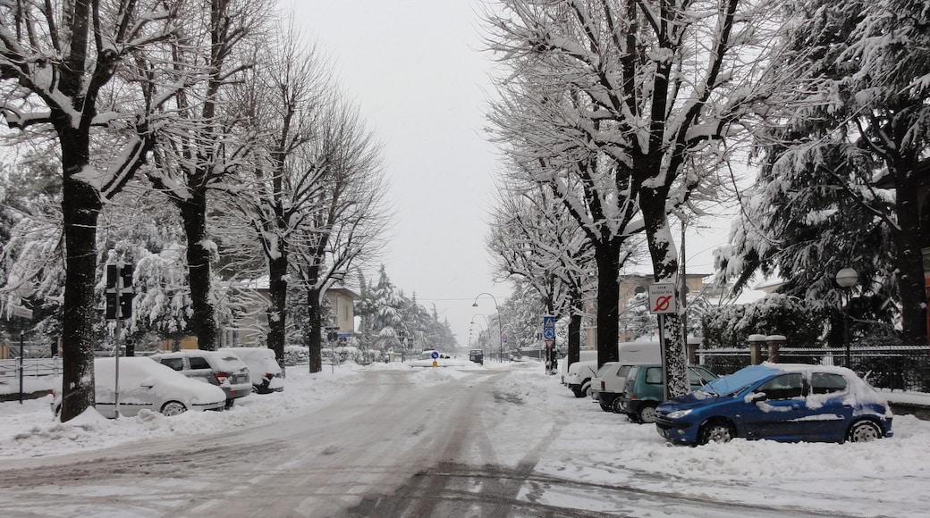 48014 Castel Bolognese, Province of Ravenna, Italy