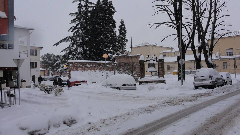 A snowy street with parked cars, a large evergreen tree, and buildings in the background.
