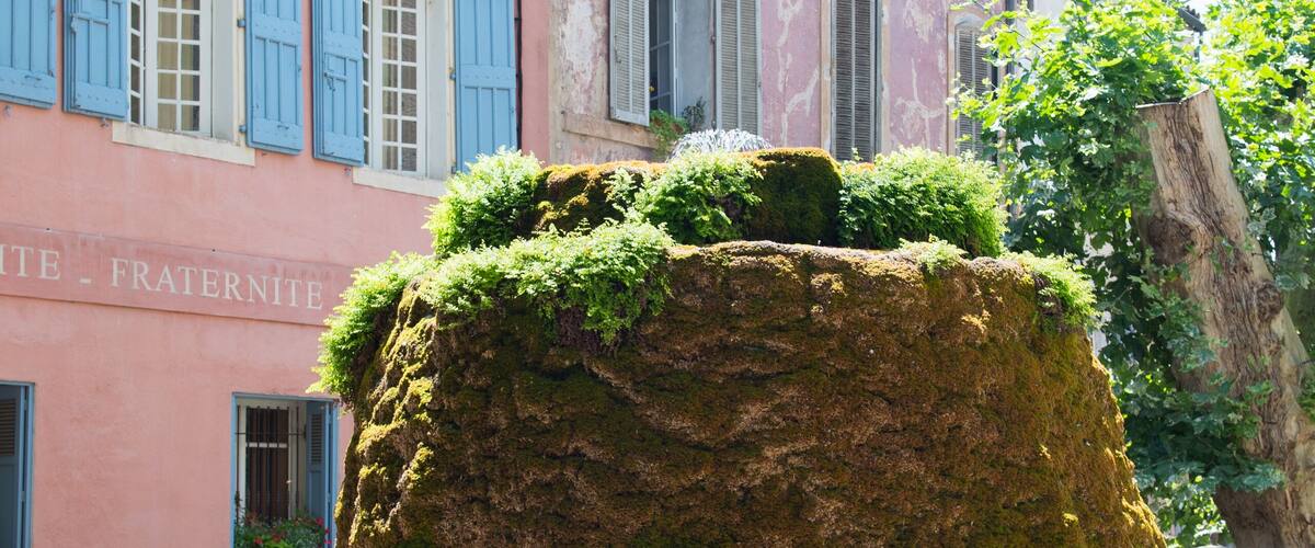 A moss-covered tree sculpture in a circular fountain, with a pink building with blue shutters in the background.