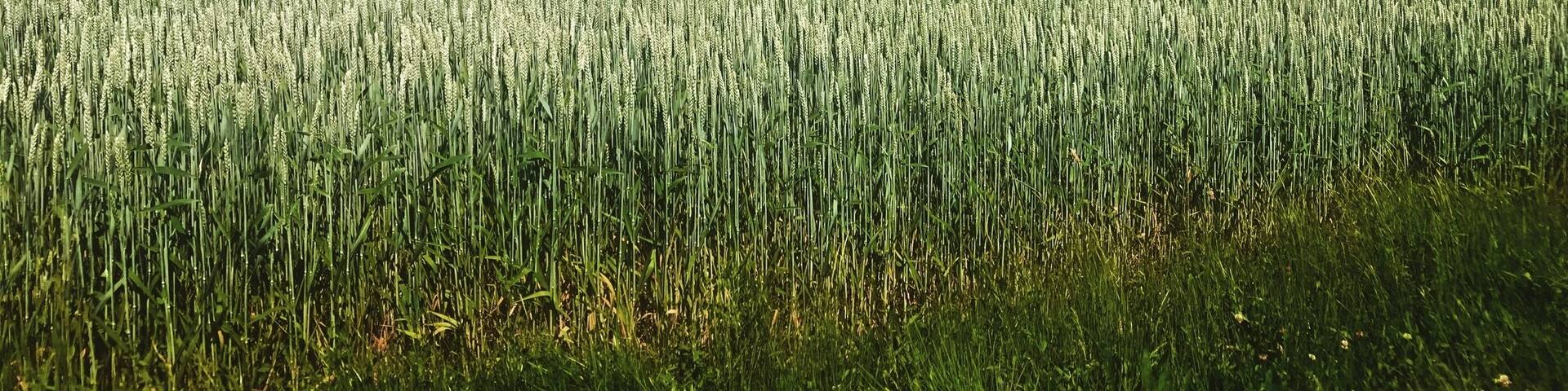 Geneva is ideally situated to explore the surrounding lake and countryside areas. There are countless smaller towns and villages within easy reach of the city just waiting to be discovered by adventurous day trippers #LifeAtExpedia