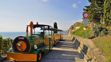 ă©ăŽă©ăŒă»ăšăŻăčăăŹăčă©ăŽă©ăŒć°ćșă ăă¶ăŹéă/ă·ă„ăă«, ăčă€ăč(Chemin du Dezaley/Chexbres,Schweiz)