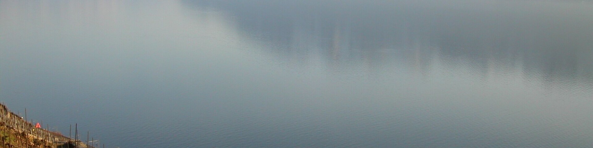 Le Lavaux et le lac Léman