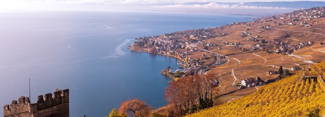 The view from the Tour de Marsens, built in the 12th century, over the Lavaux vineyards.