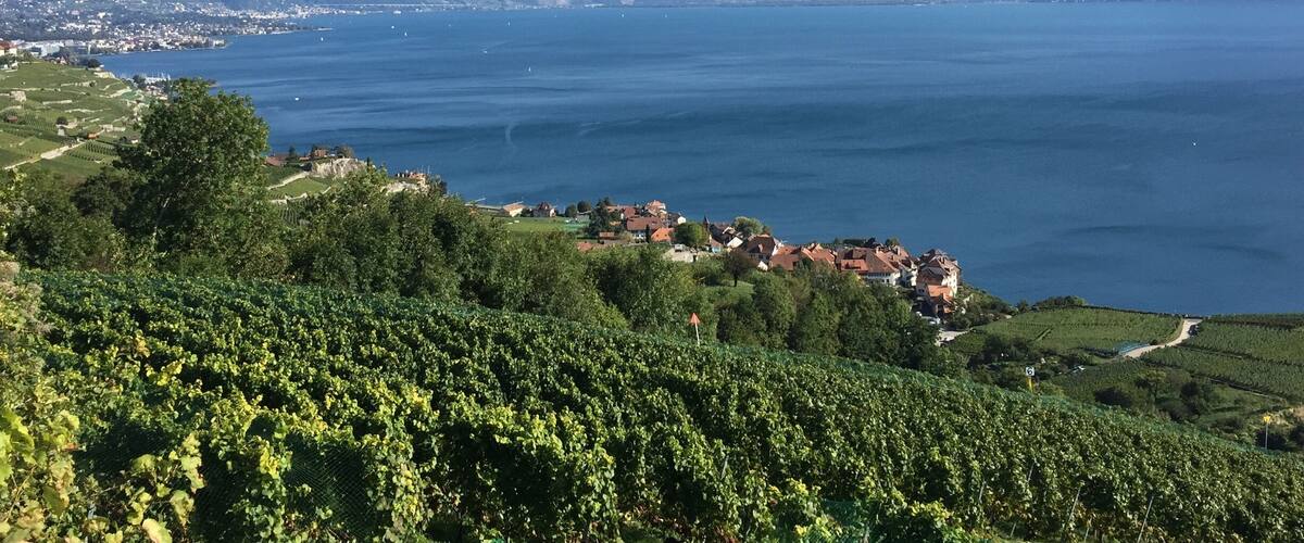 Amazing view of Lake Geneva overlooking the Alps. Check this place out if you're near, a bar with some of the best panoramic views ever