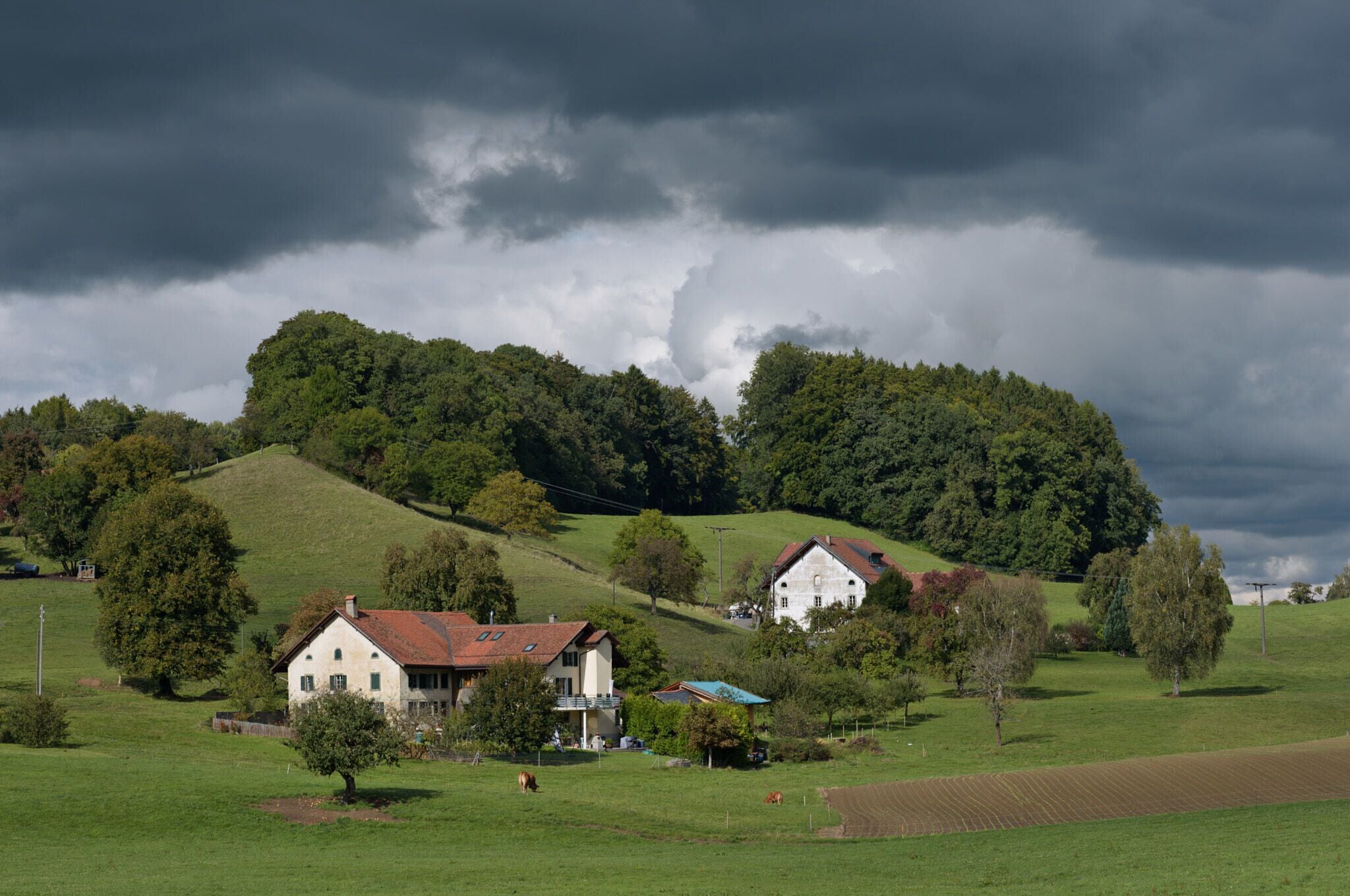 500px provided description: Should you like to see a larger version of the photograph and with better colour rendering: www.flickr.com/photos/144355724@N03/36511068643/in/photostream/ [#countryside ,#valley ,#country ,#rural ,#meadow ,#grassland ,#farmland ,#hillside ,#rolling hills ,#grassy ,#bucolic]
