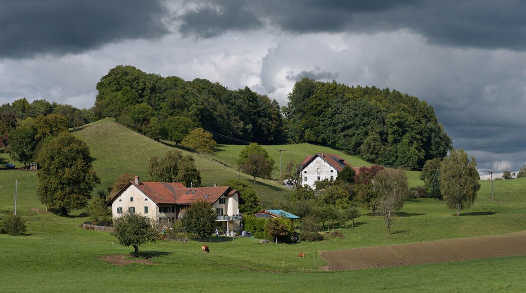 District de Lavaux-Oron