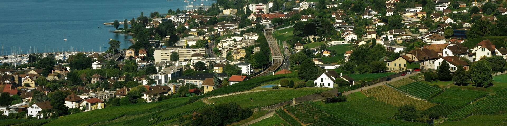 le lavaux vu d'un train