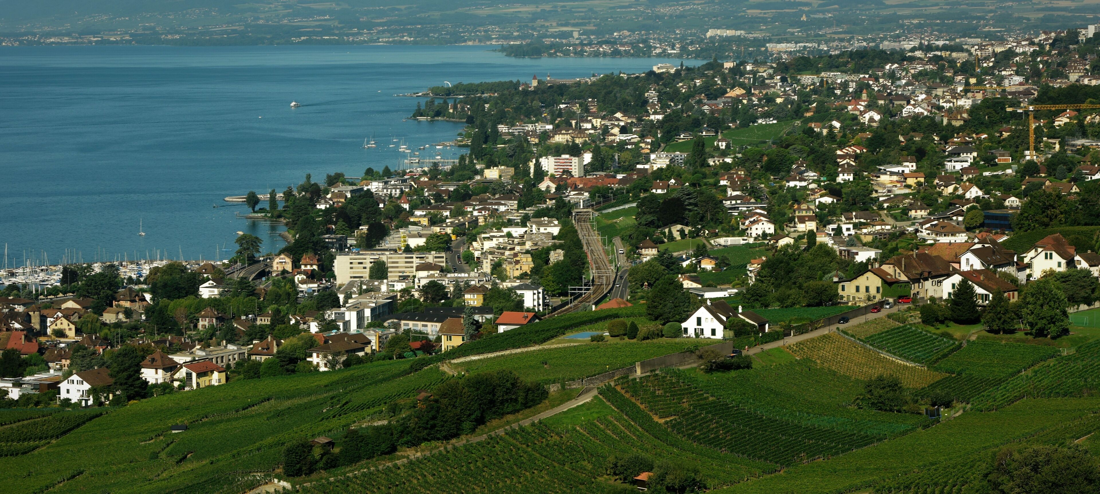 A coastal town with vineyards, a harbor, and a bridge.
