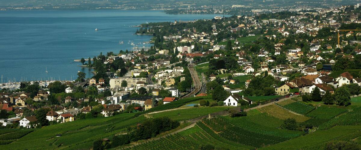 A coastal town with vineyards, a harbor, and a bridge.
