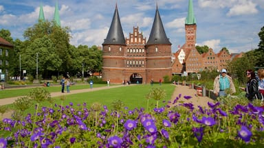 Museum Holstentor toont wilde bloemen en historische architectuur en ook een klein groepje mensen