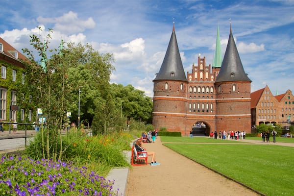 Museum Holstentor welches beinhaltet Garten, historische Architektur und Wildblumen