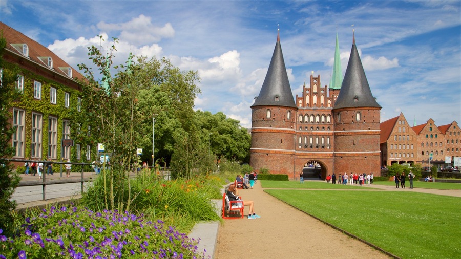 Museum Holstentor showing heritage architecture, a park and wild flowers