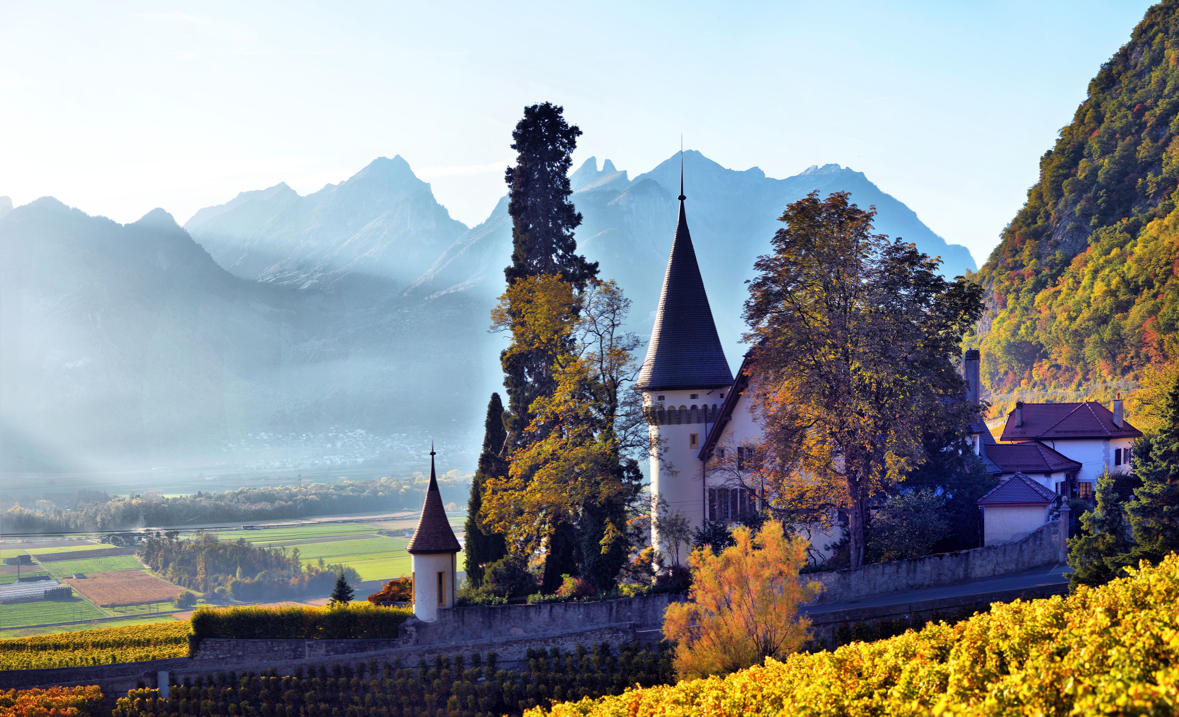 A castle with two towers, surrounded by trees and mountains in the background.