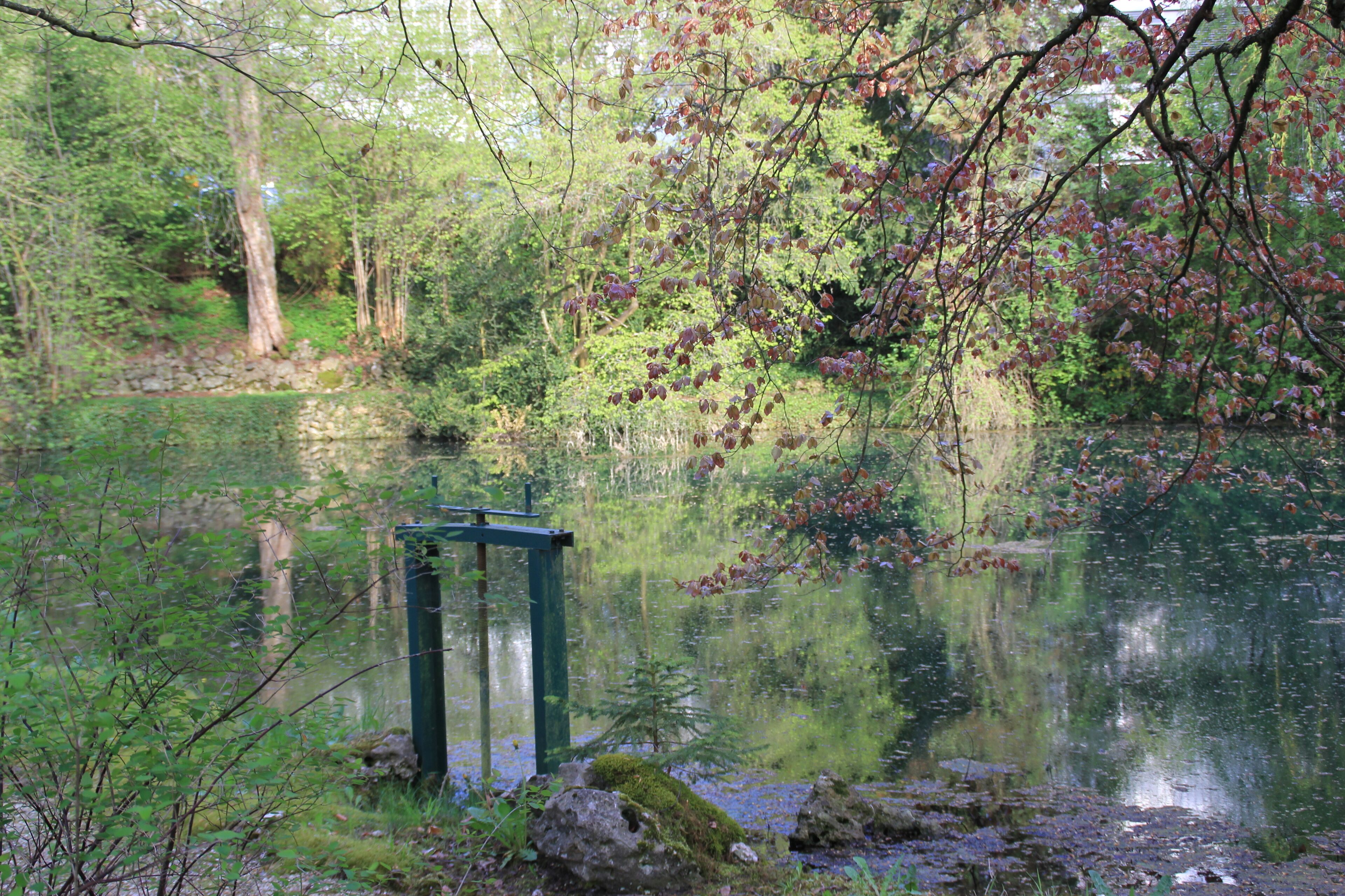 Der Ursprung des Roten Kochers (Ölweiher) in Oberkochen