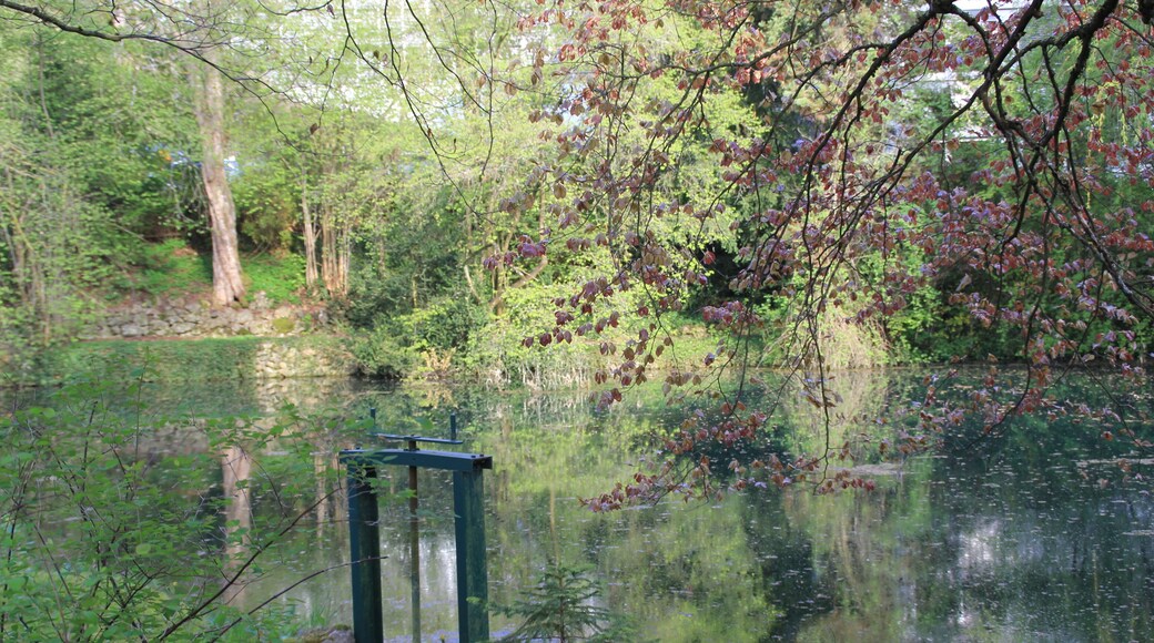Der Ursprung des Roten Kochers (Ölweiher) in Oberkochen