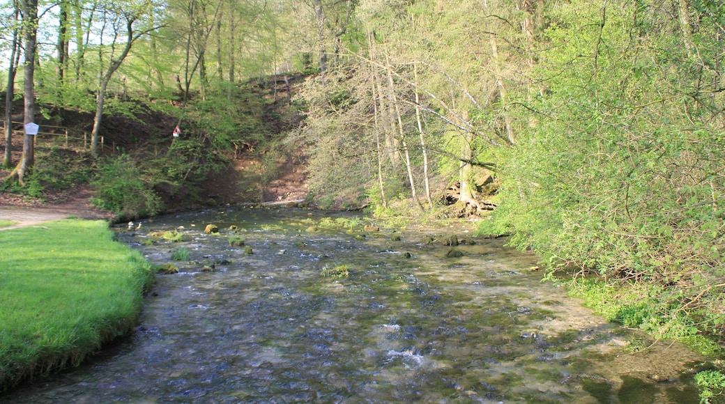 Der Ursprung des Schwarzen Kochers bei Oberkochen, Baden-Württemberg